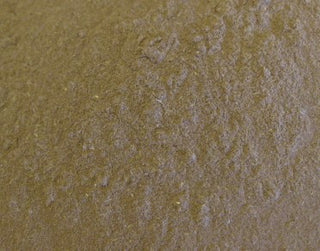 Ashoka bark, powder