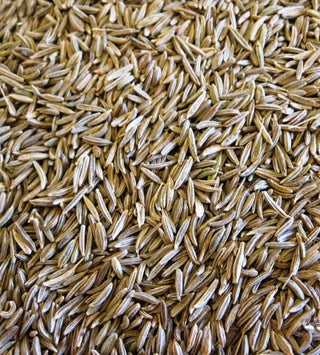 Caraway seed