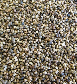 Cardamom, decorticated