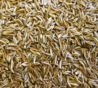 Cumin Seed