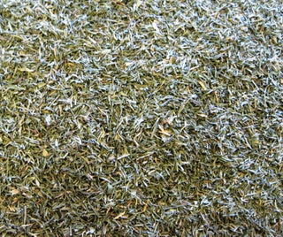 Dill Weed