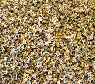 Elder flowers, whole