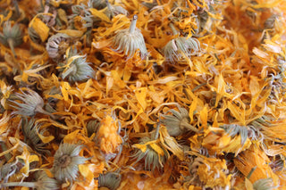 Calendula flower, whole
