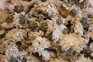 Chrysanthemum (Ju Hua)