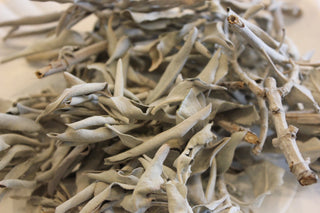 Sage leaf, whole (White sage)
