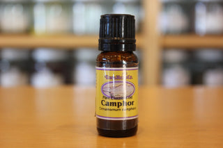Camphor (Taos Herb Co)