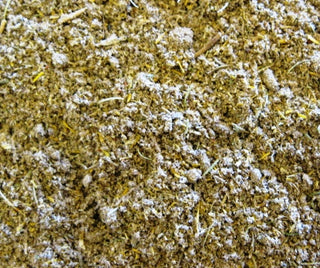Infection Fighter Powder Blend