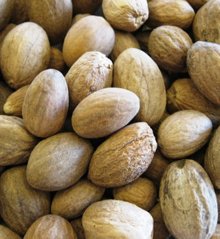 Nutmeg, whole