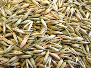 Oats, milky tops
