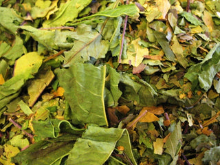 Peach leaf