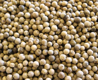 Peppercorn, White