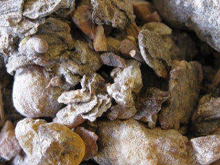 Pinon Resin (Trementina)