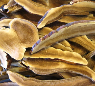 Reishi Mushroom sliced (Ling Zhi)