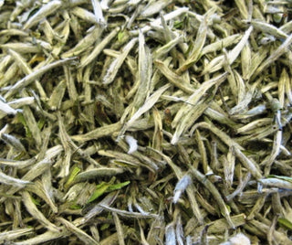 Silver Needle White Tea