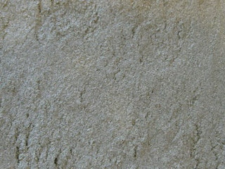 Wheat Grass, powder