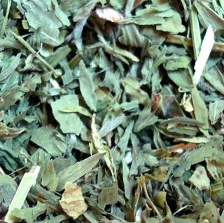 Alfalfa leaf, c/s