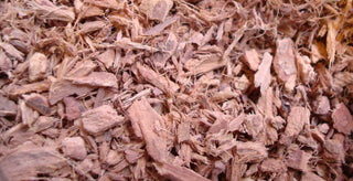 Bayberry root bark, c/s