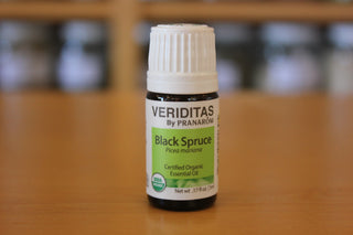 Black Spruce