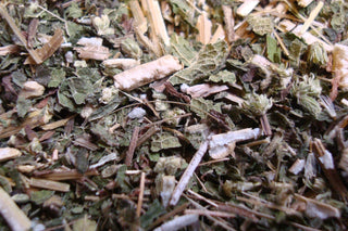 Boneset herb, c/s