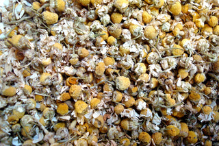 Chamomile flower, whole