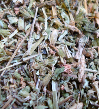 Chickweed herb, c/s