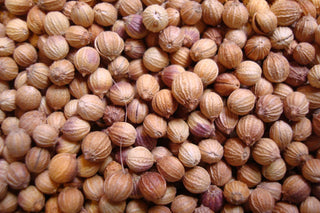 Coriander seed, whole