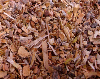 Cramp bark, c/s