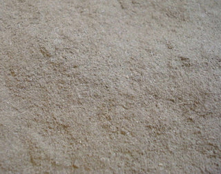 Dandelion leaf, powder
