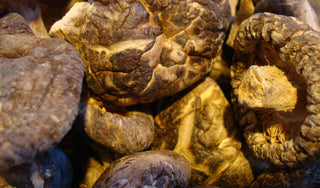 Shiitake (Dong Gu – Ri Ben), whole