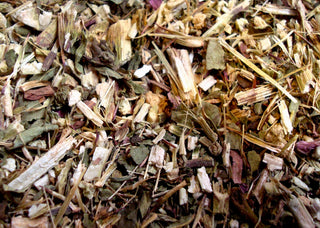 Echinacea herb, c/s
