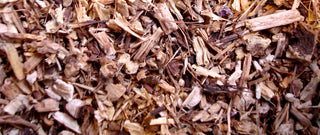 Echinacea root, c/s