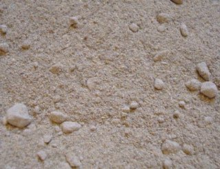 Echinacea root, powder