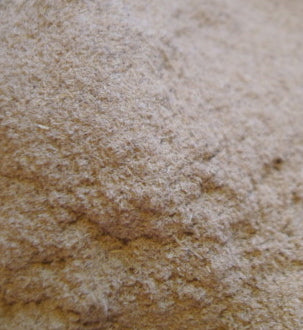 Eleuthero root, powder
