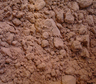 Guarana seed, powder