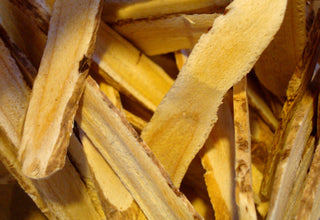 Astragalus root, sliced (Huang Qi)