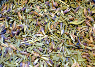 Hyssop herb, c/s