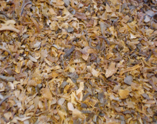 Irish Moss, c/s