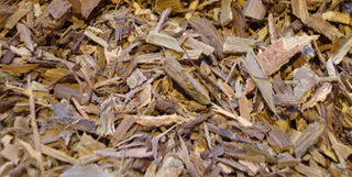 Jamaican Dogwood bark, c/s