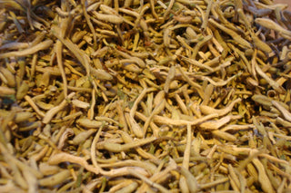 Honeysuckle flower (Jin Yin Hua)