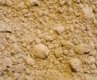 Kelp powder