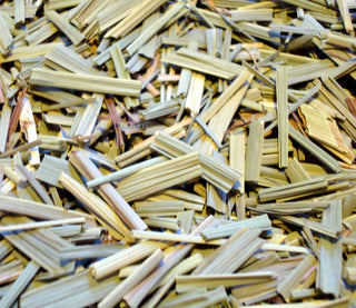 Lemongrass, c/s