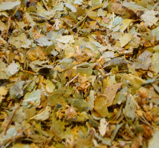 Linden flower and leaf, c/s
