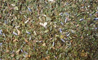Maximum Mint