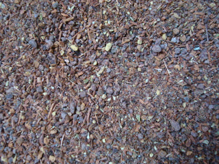 Mayan Spice
