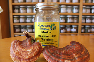 Mexican Mushroom Hot Chocolate