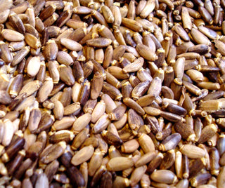 Milk Thistle seed, whole