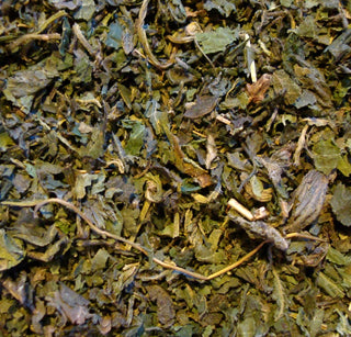 Nettle leaf, c/s
