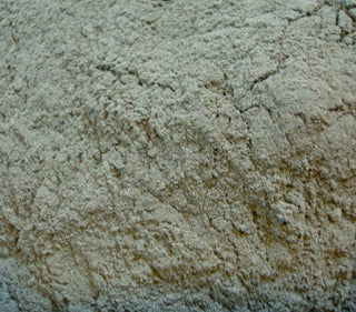 Nettle leaf, powder