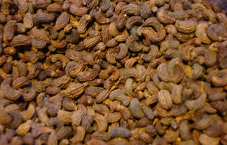 Ligustrum fruit (Nu Zhen Zi)