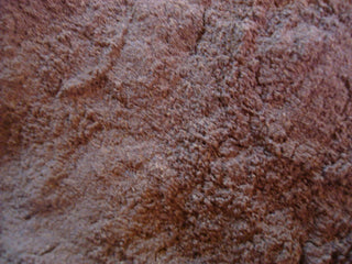 Pau D’Arco bark, powder